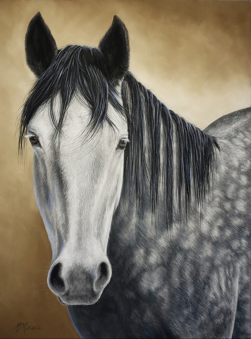 Juniper  16x12 $990 at Hunter Wolff Gallery
